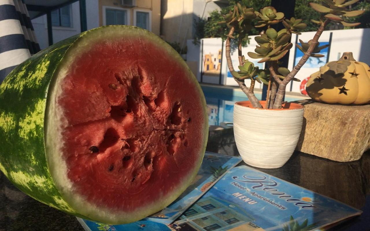 Apartment In Agiapelagia For 3 Pers - Crete *